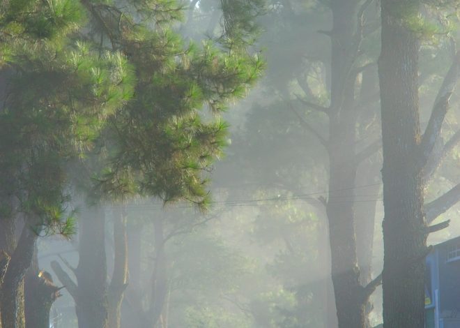 Le tappe fondamentali dei viaggi di esplorazione dell’anima