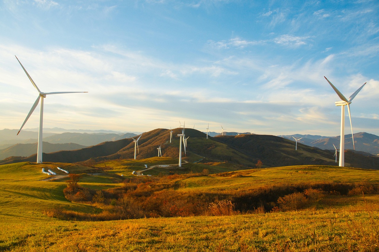 L’importanza del turismo etico e sostenibile per la conservazione dell’ambiente